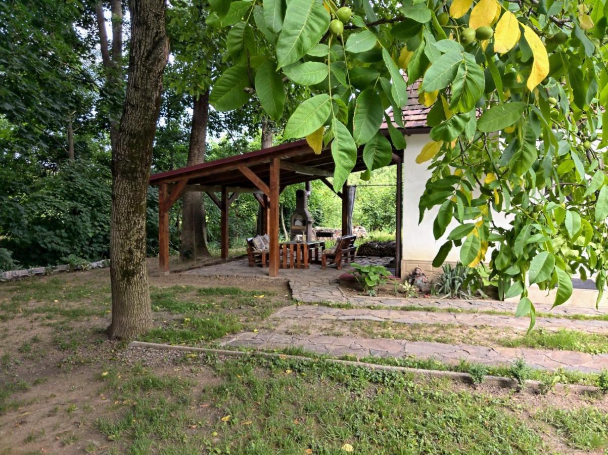 Hotel Окремий Будинок-Апартаменти Rakoshyno Exterior photo